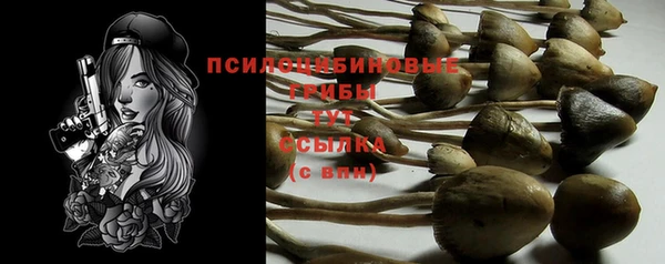 прущие крисы Горнозаводск