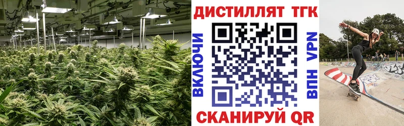 хочу наркоту  Невель  Дистиллят ТГК THC oil 