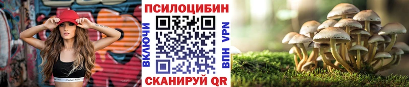 блэк спрут tor  Невель  Псилоцибиновые грибы Psilocybe 